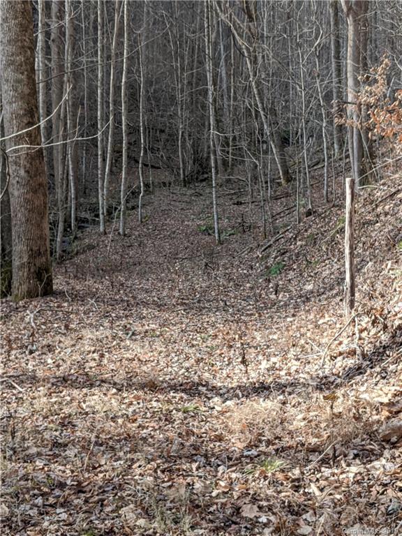 2281 Spillcorn Road Marshall, NC 28753 - Photo 16 of 22 Gallery Image 16