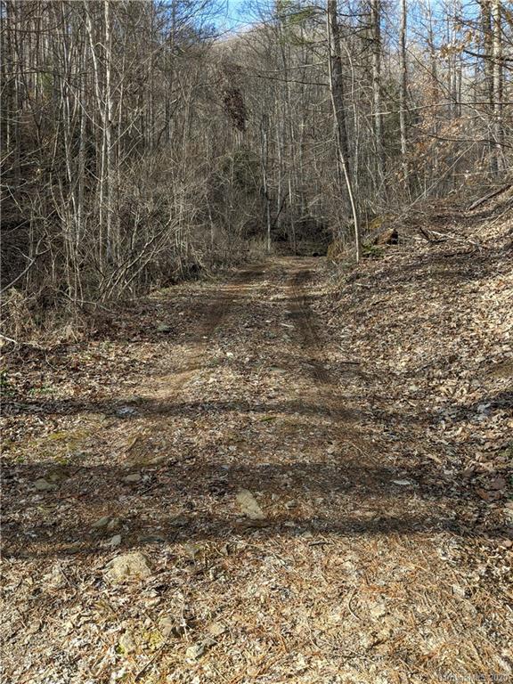 2281 Spillcorn Road Marshall, NC 28753 - Photo 19 of 22 Gallery Image 19
