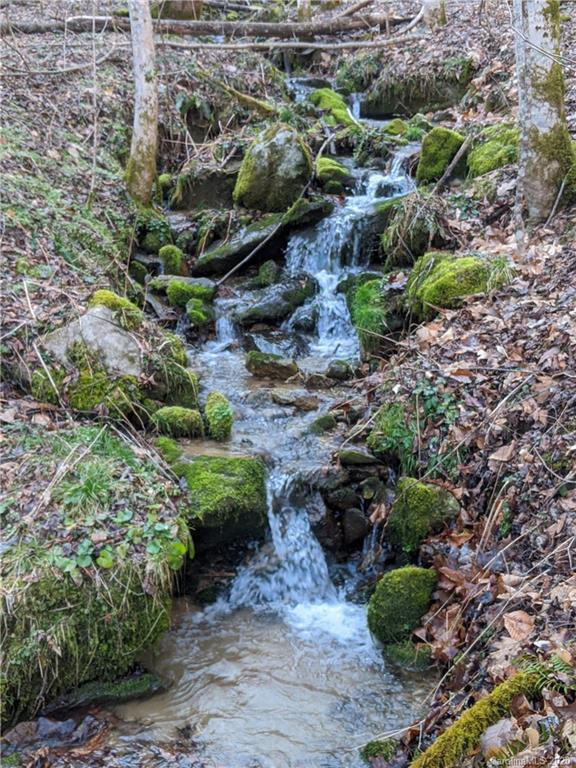 2281 Spillcorn Road Marshall, NC 28753 - Photo 22 of 22 Gallery Image 22