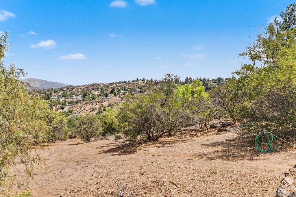950 South Grade Road Alpine, CA 91901 - Photo 31 of 39