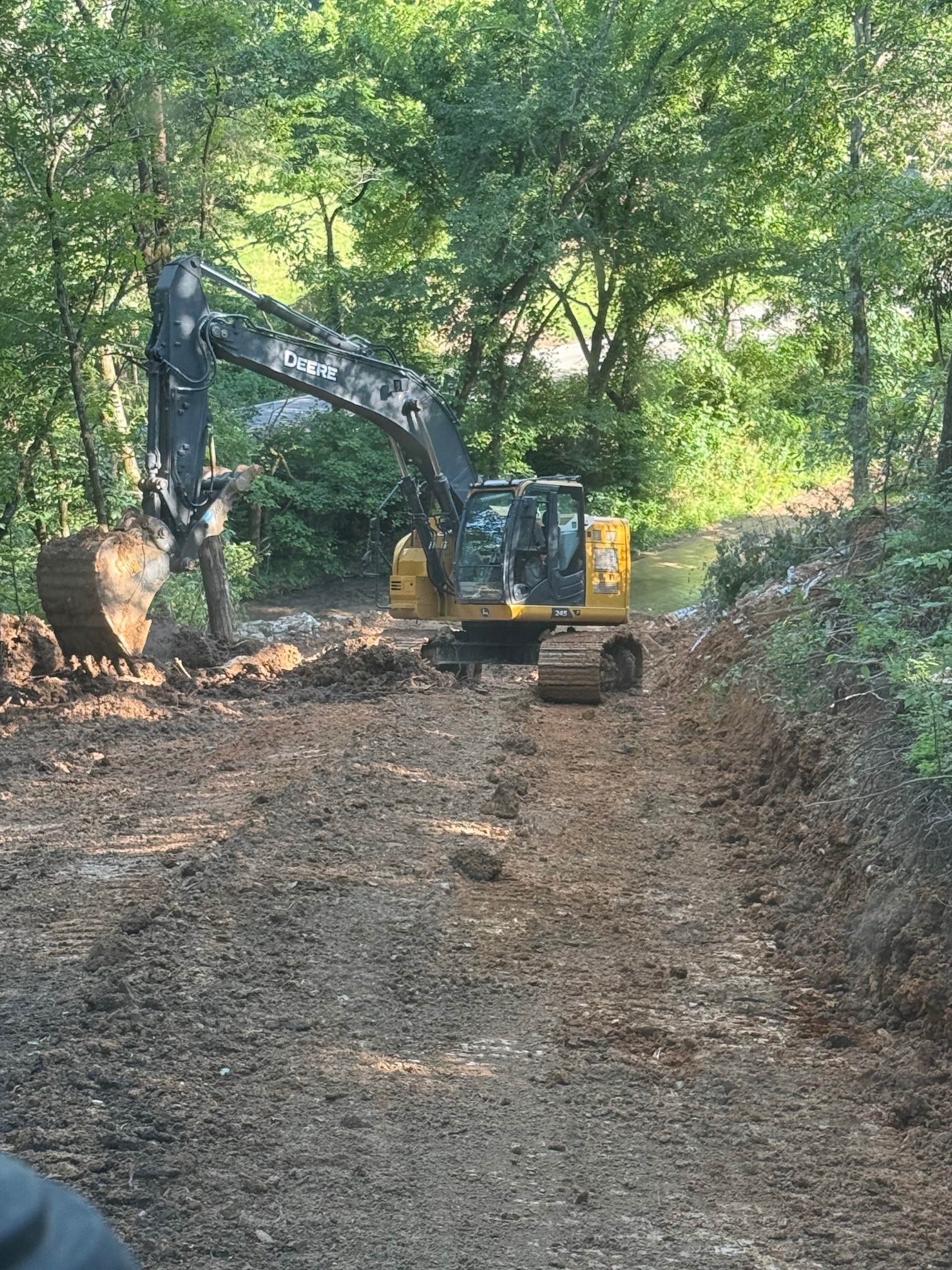 0 Dog Creek Road Primm Springs, TN 38476 - Photo 17 of 20 a view of a park with large trees