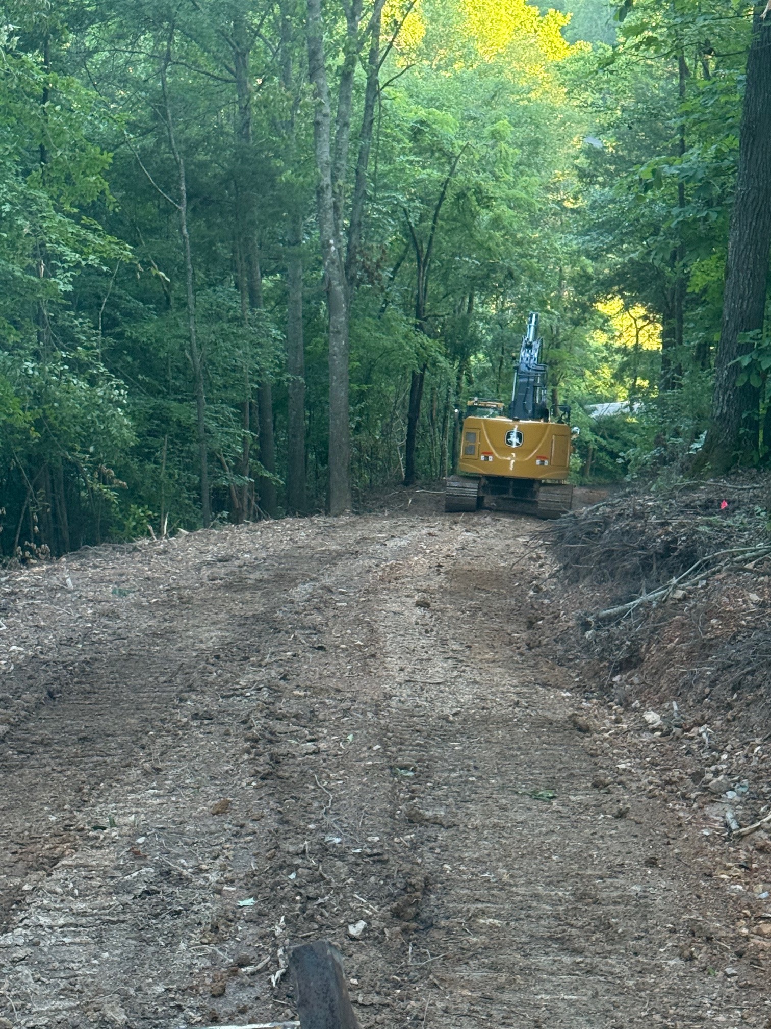 0 Dog Creek Road Primm Springs, TN 38476 - Photo 18 of 20 a view of a outdoor space