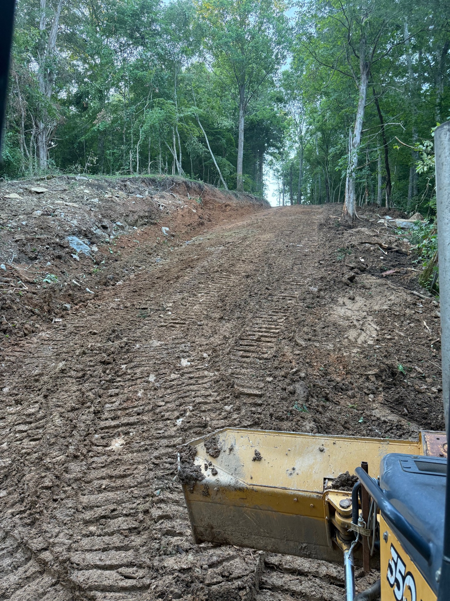 0 Dog Creek Road Primm Springs, TN 38476 - Photo 19 of 20 a view of a backyard with trees