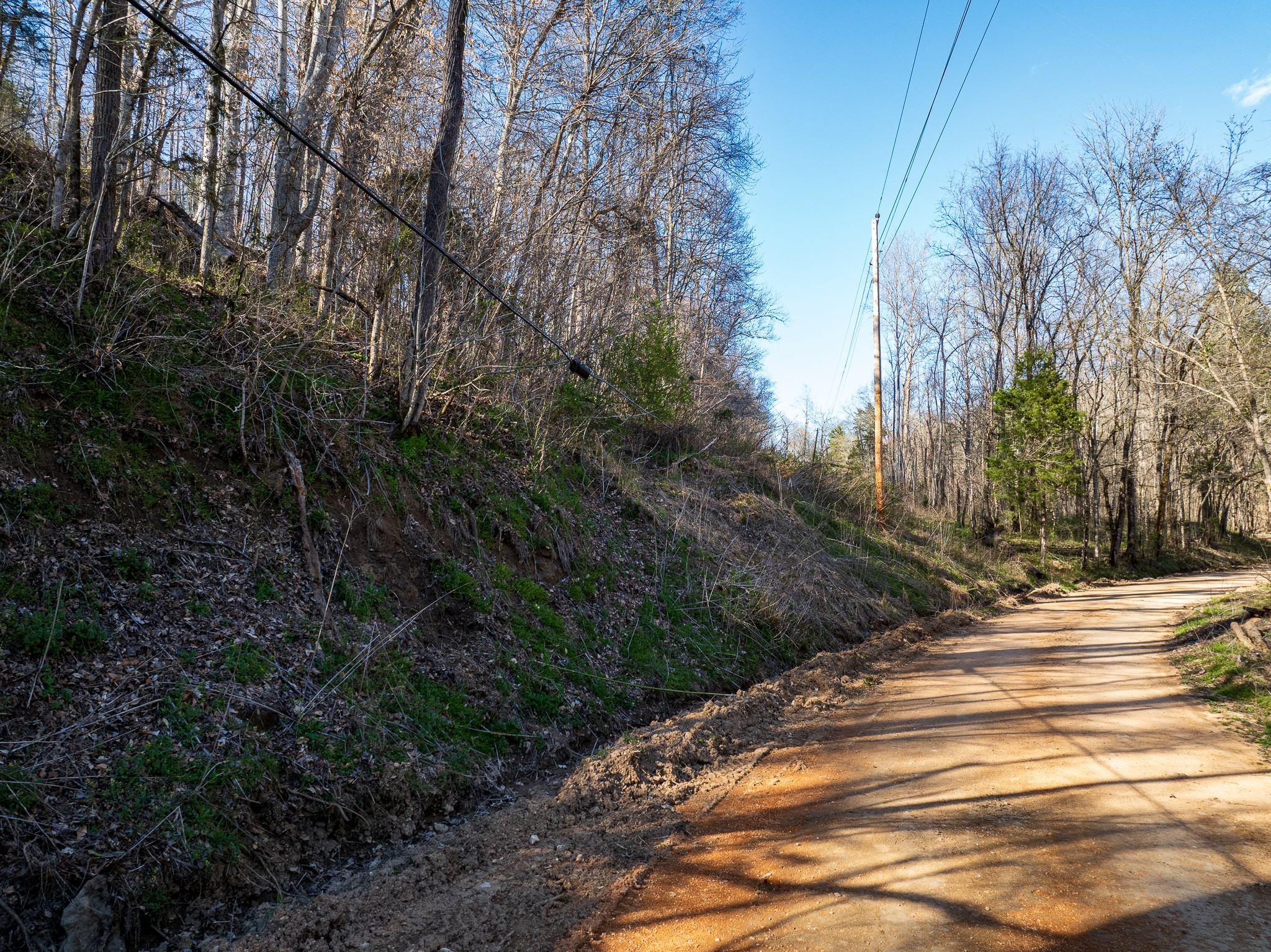 0 Dog Creek Road Primm Springs, TN 38476 - Photo 5 of 20