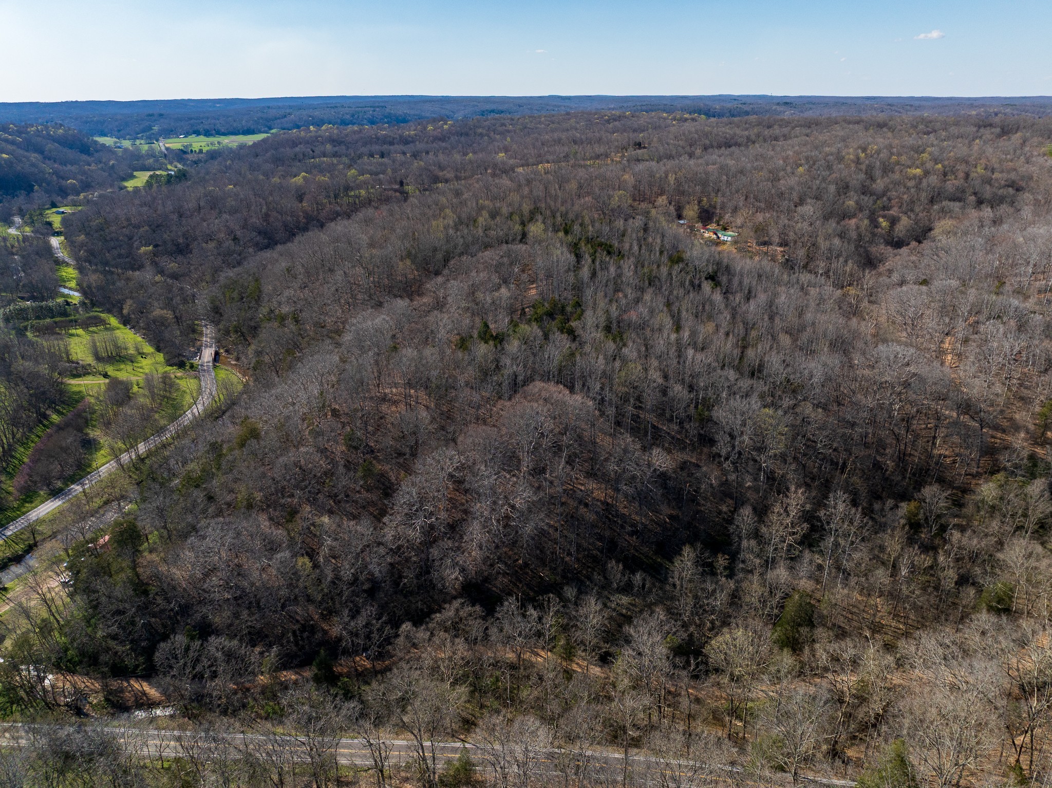 0 Dog Creek Road Primm Springs, TN 38476 - Photo 6 of 20