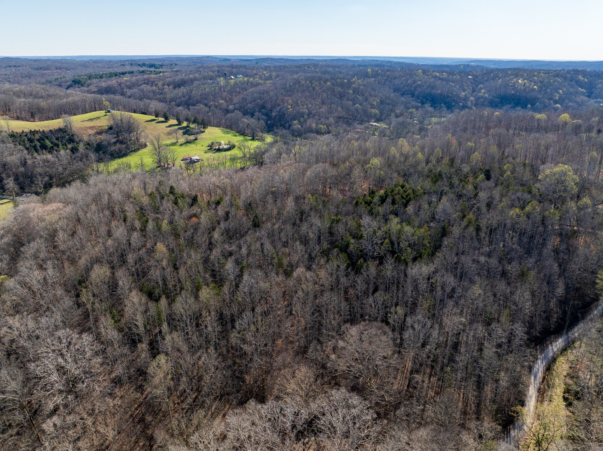 0 Dog Creek Road Primm Springs, TN 38476 - Photo 7 of 20 a view of a lush green forest with lots of bushes