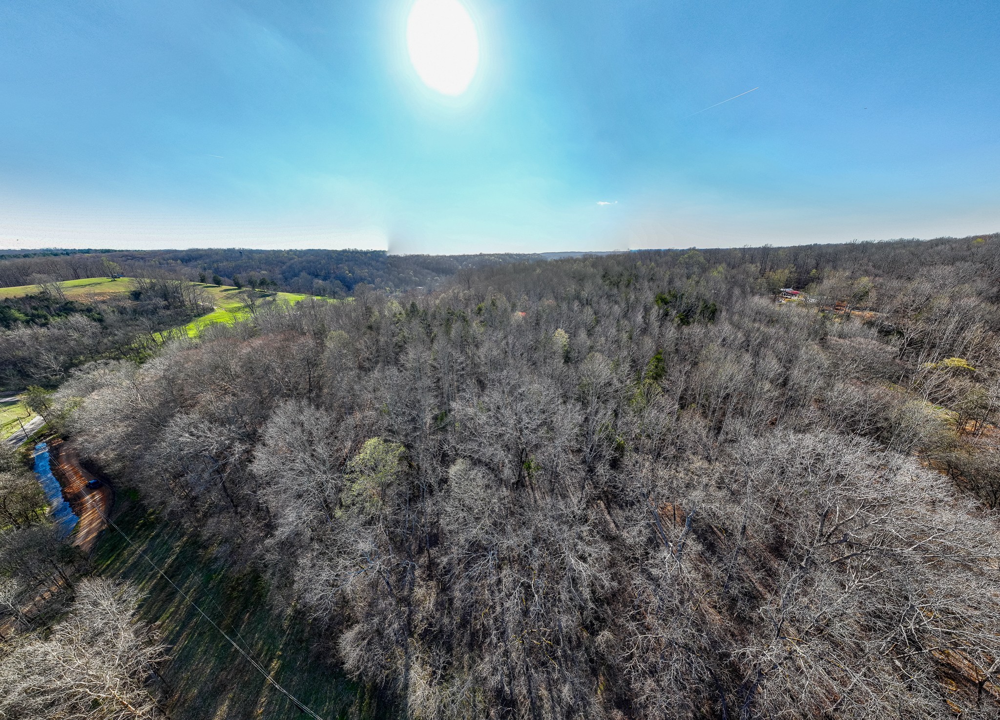 0 Dog Creek Road Primm Springs, TN 38476 - Photo 9 of 20 a view of a dry yard with trees