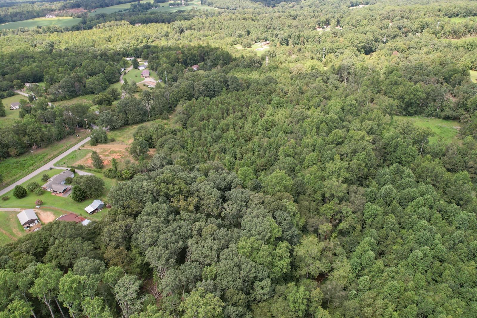 236 Overhead Bridge Road Chesnee, SC 29323 - Photo 13 of 21