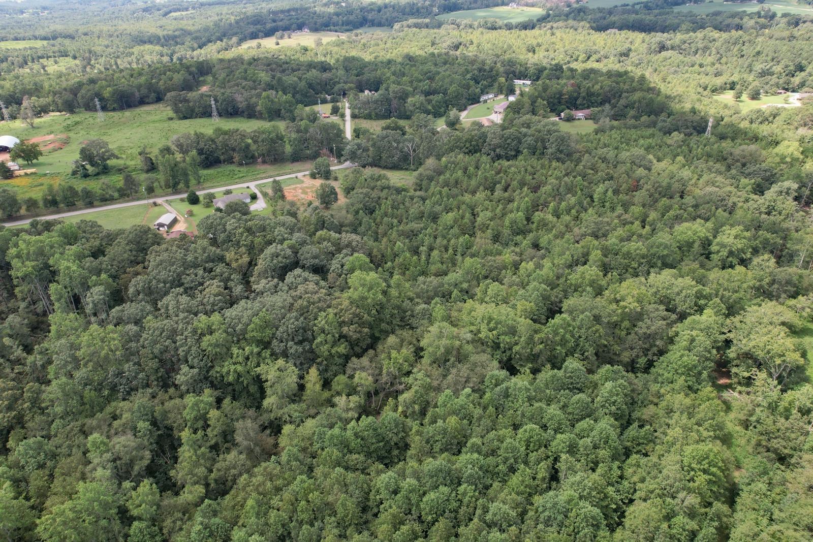 236 Overhead Bridge Road Chesnee, SC 29323 - Photo 14 of 21