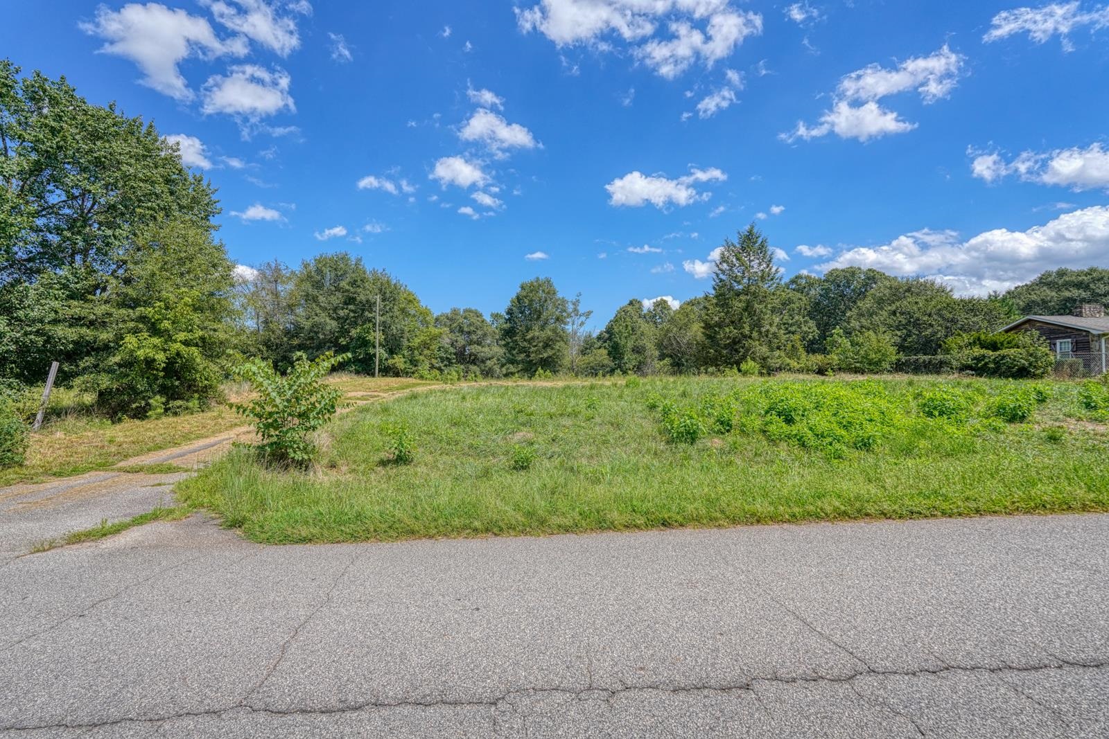 236 Overhead Bridge Road Chesnee, SC 29323 - Photo 2 of 21 Road View