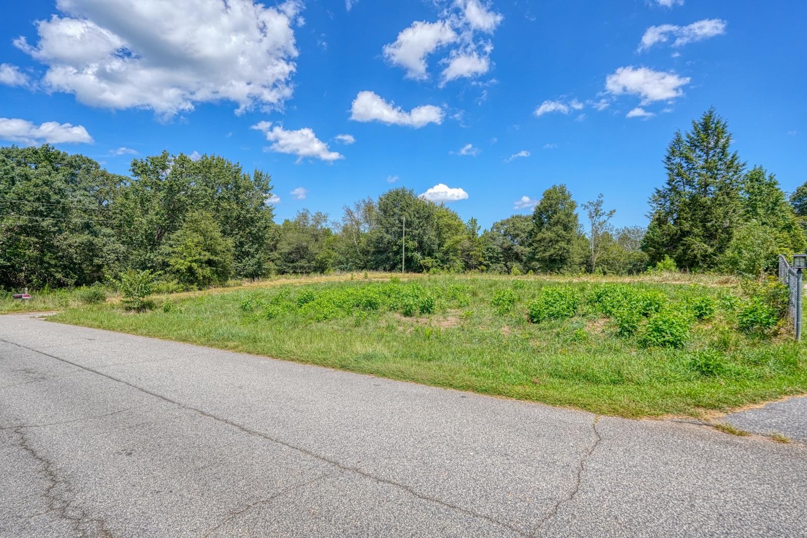 236 Overhead Bridge Road Chesnee, SC 29323 - Photo 4 of 21