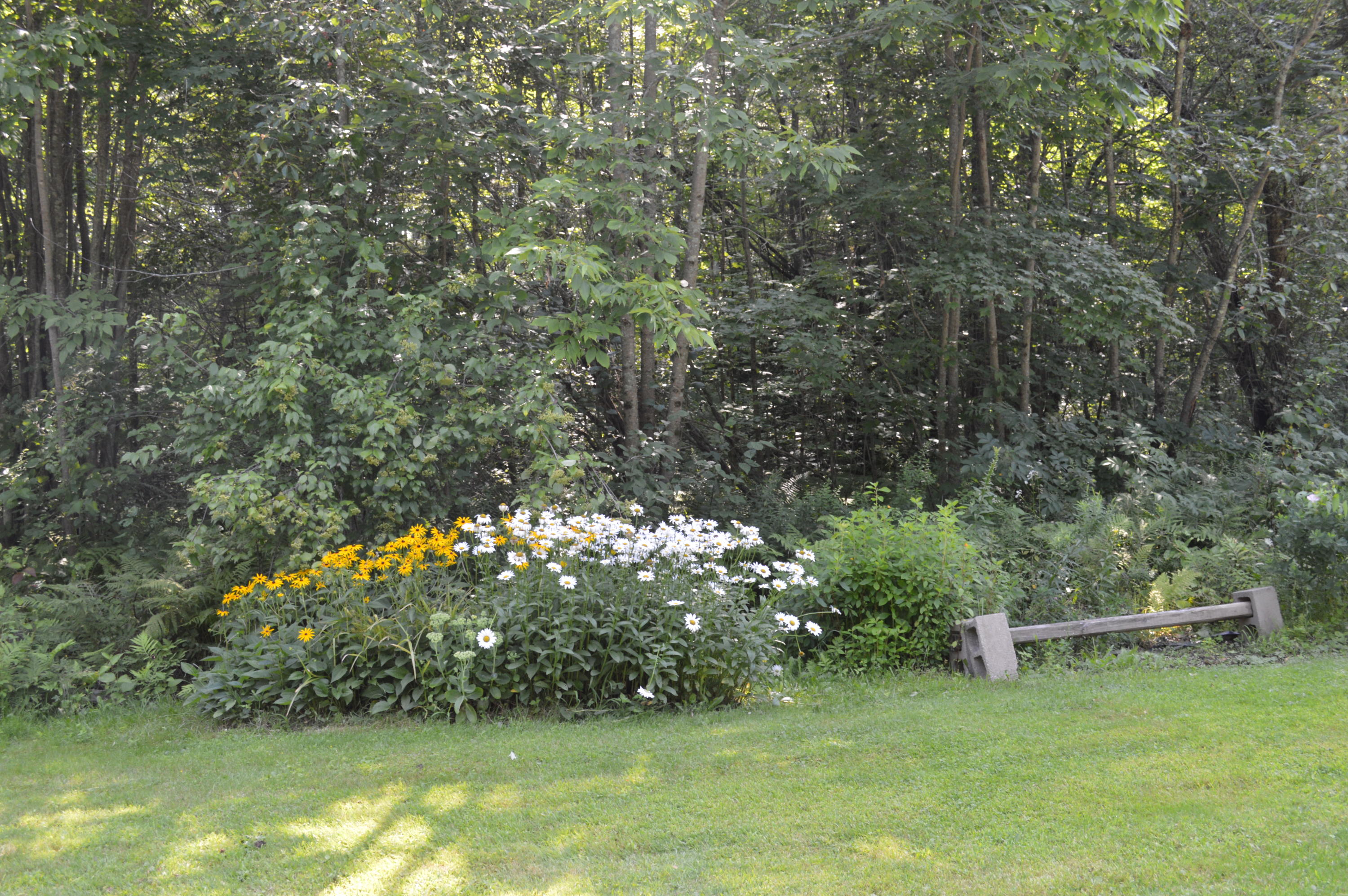 59 North Mountain Road Greene, ME 04236 - Photo 2 of 30 DSC_1760