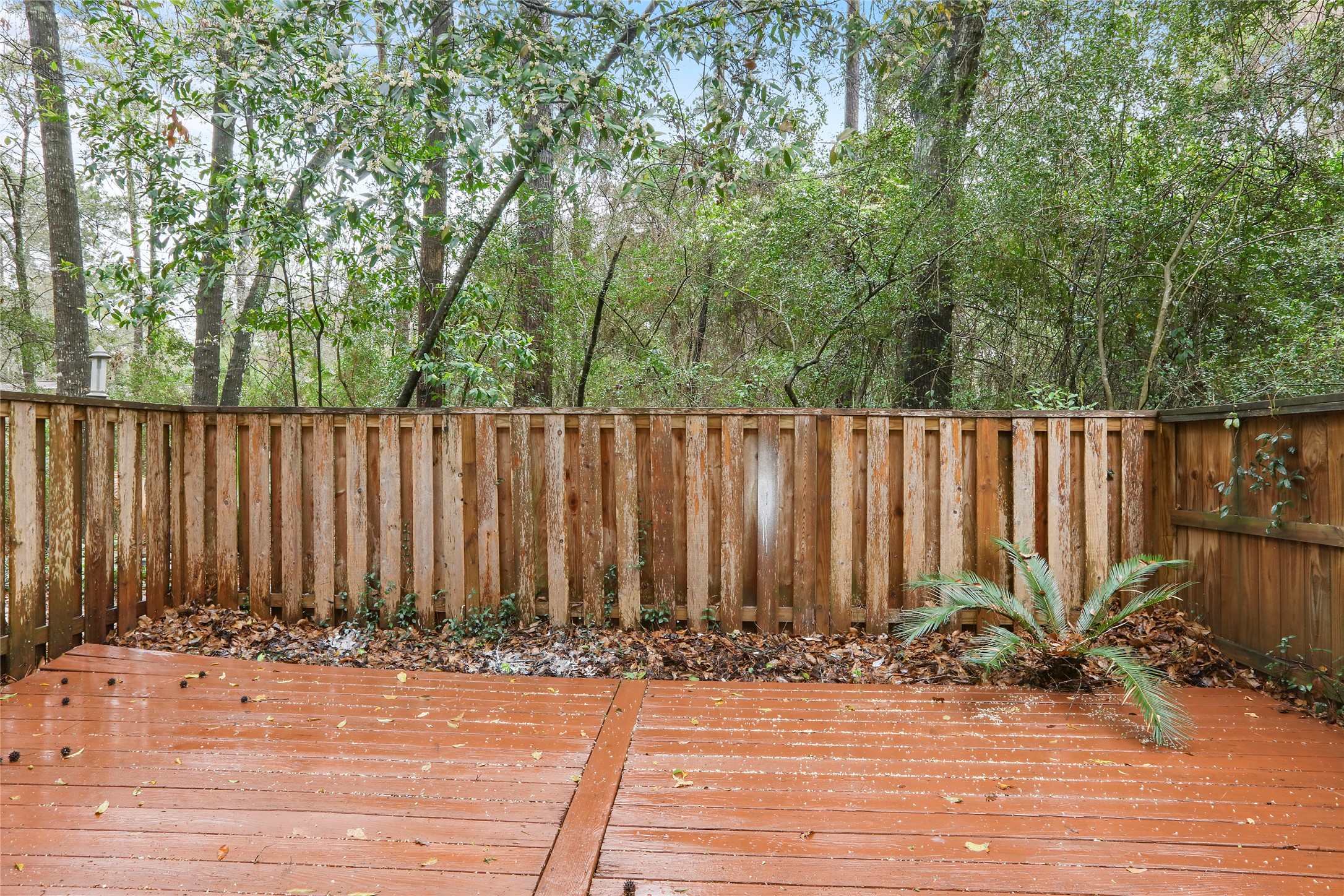 28 Sawmill Grove Lane Spring, TX 77380 - Photo 28 of 30 a view of wooden fence and a yard