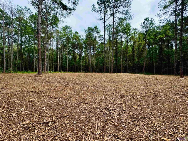 $59,000 | 16 Denham Springs, Denham Springs, LA 70706