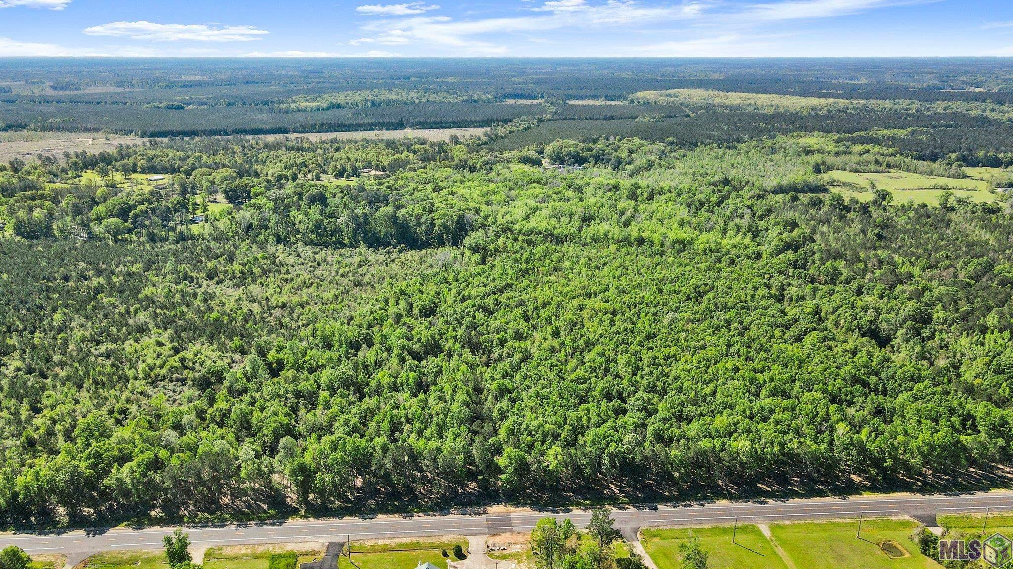 16 Denham Springs Denham Springs, LA 70706 - Photo 3 of 10