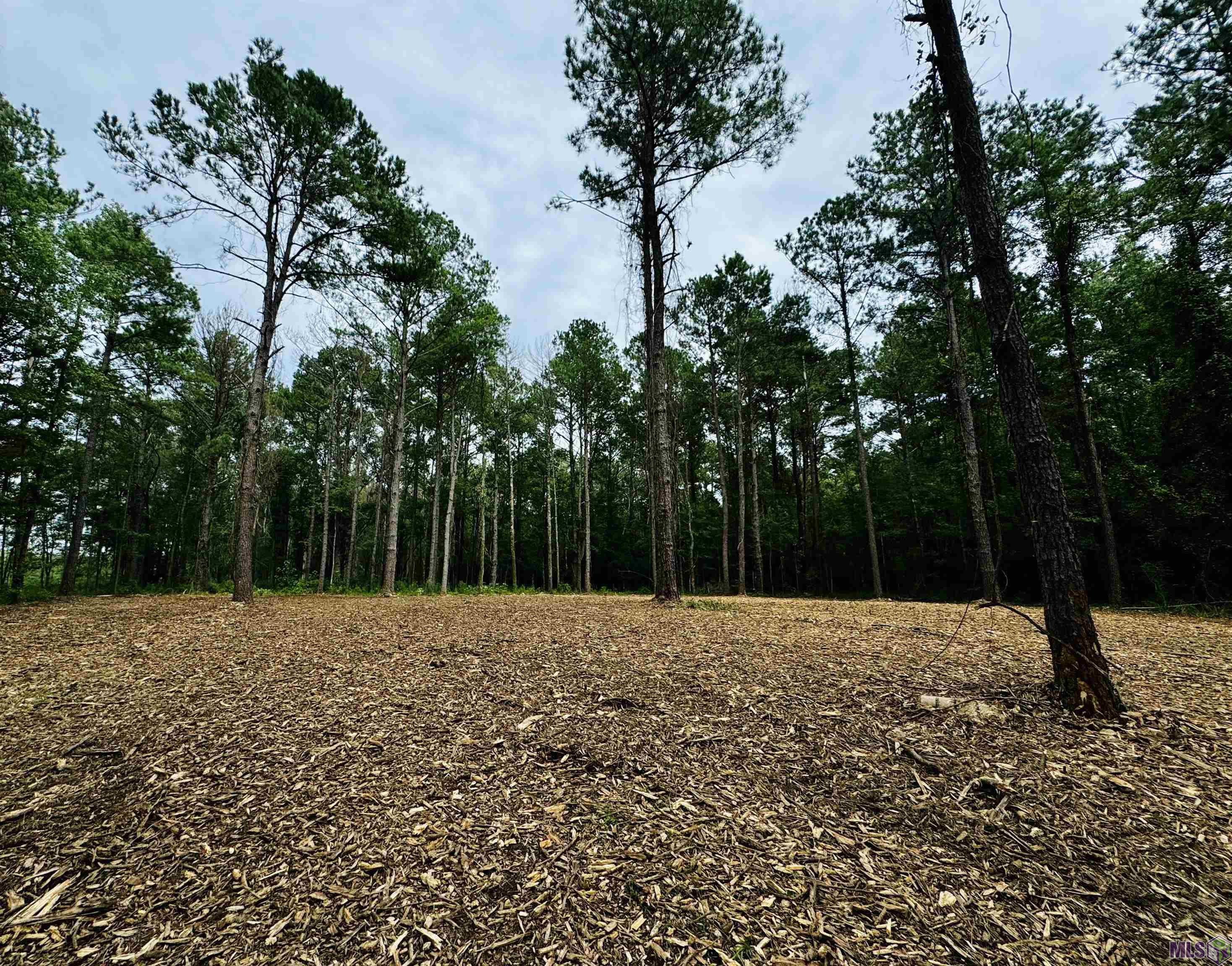 16 Denham Springs Denham Springs, LA 70706 - Photo 4 of 10