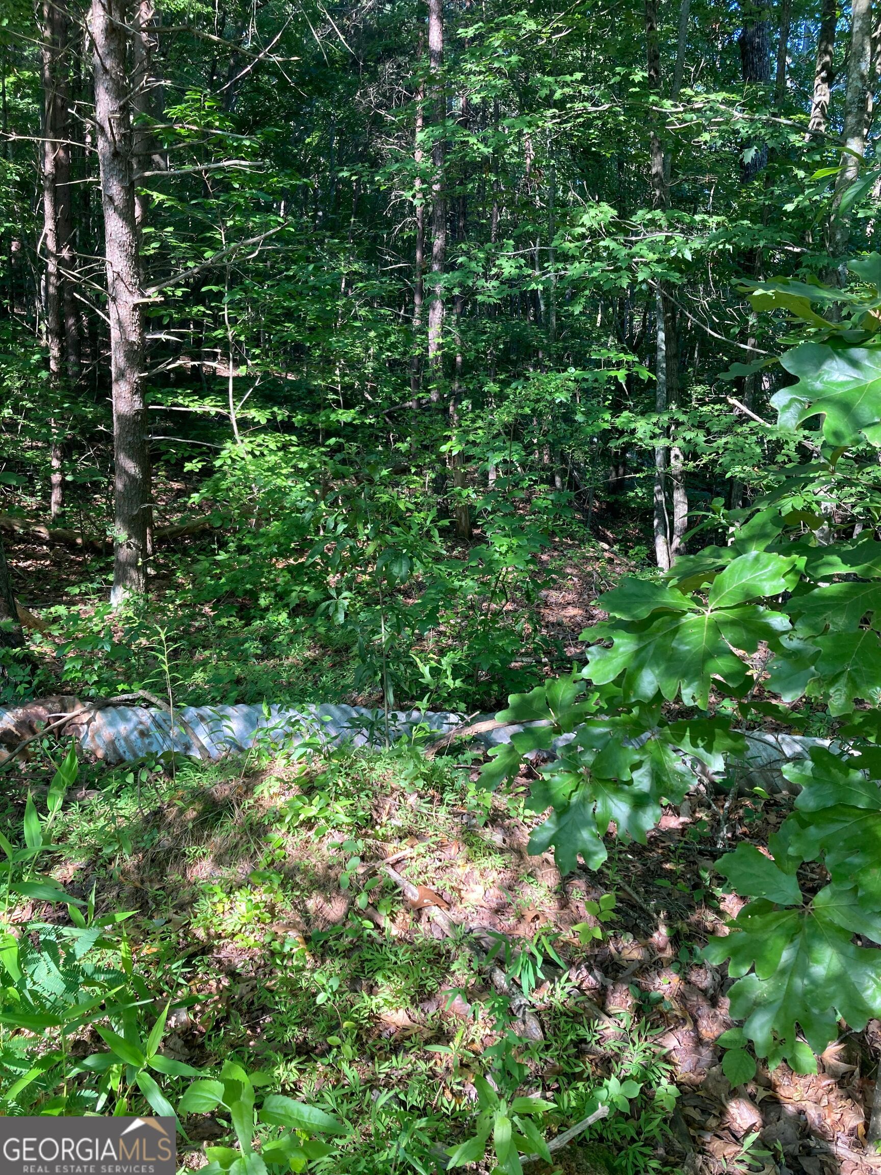 0 Grant Mill Road Alto, GA 30510 - Photo 1 of 1 Gallery Image 1