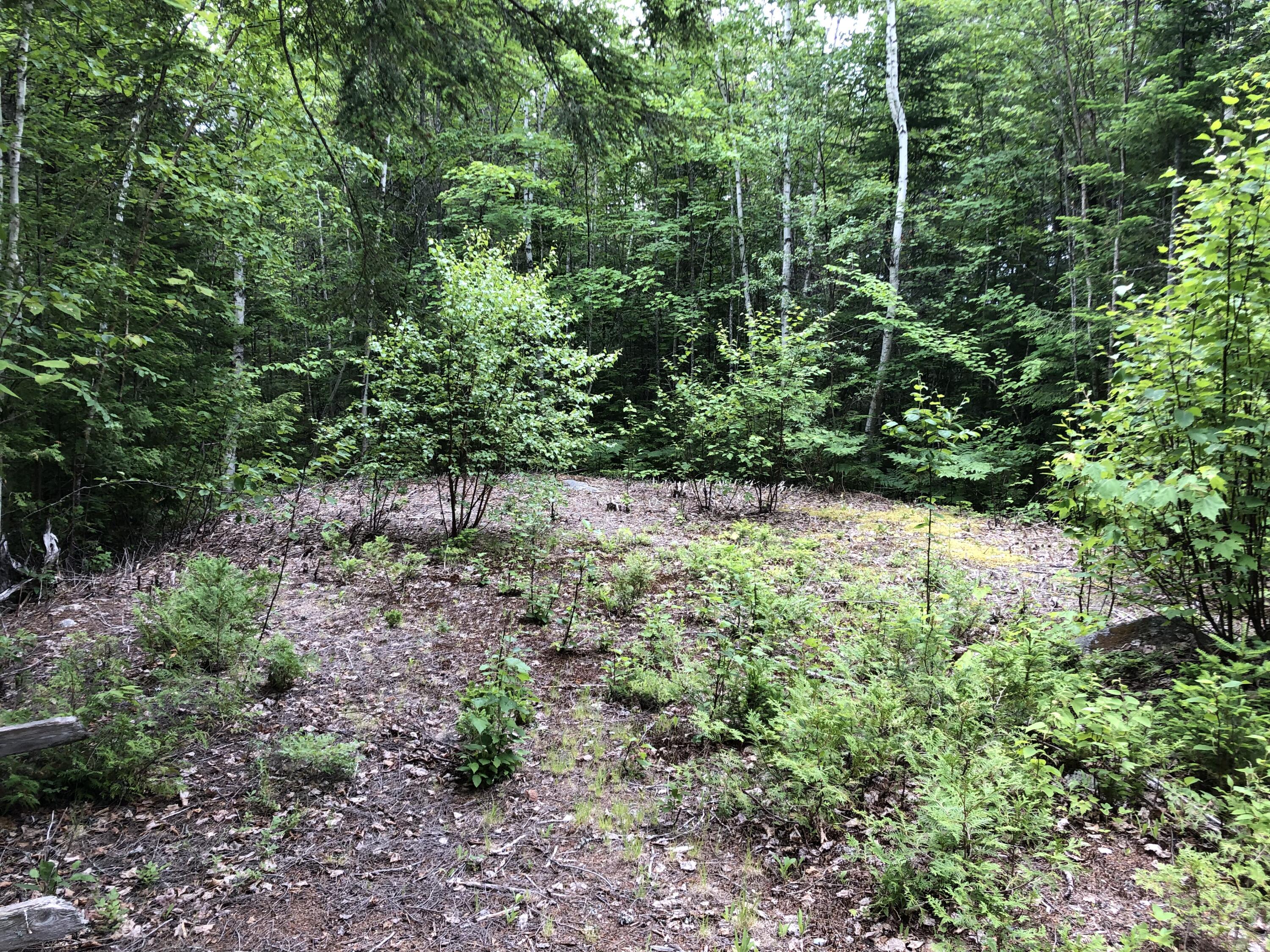 280 Sys Road Lakeville, ME 04487 - Photo 4 of 5 Building Pad