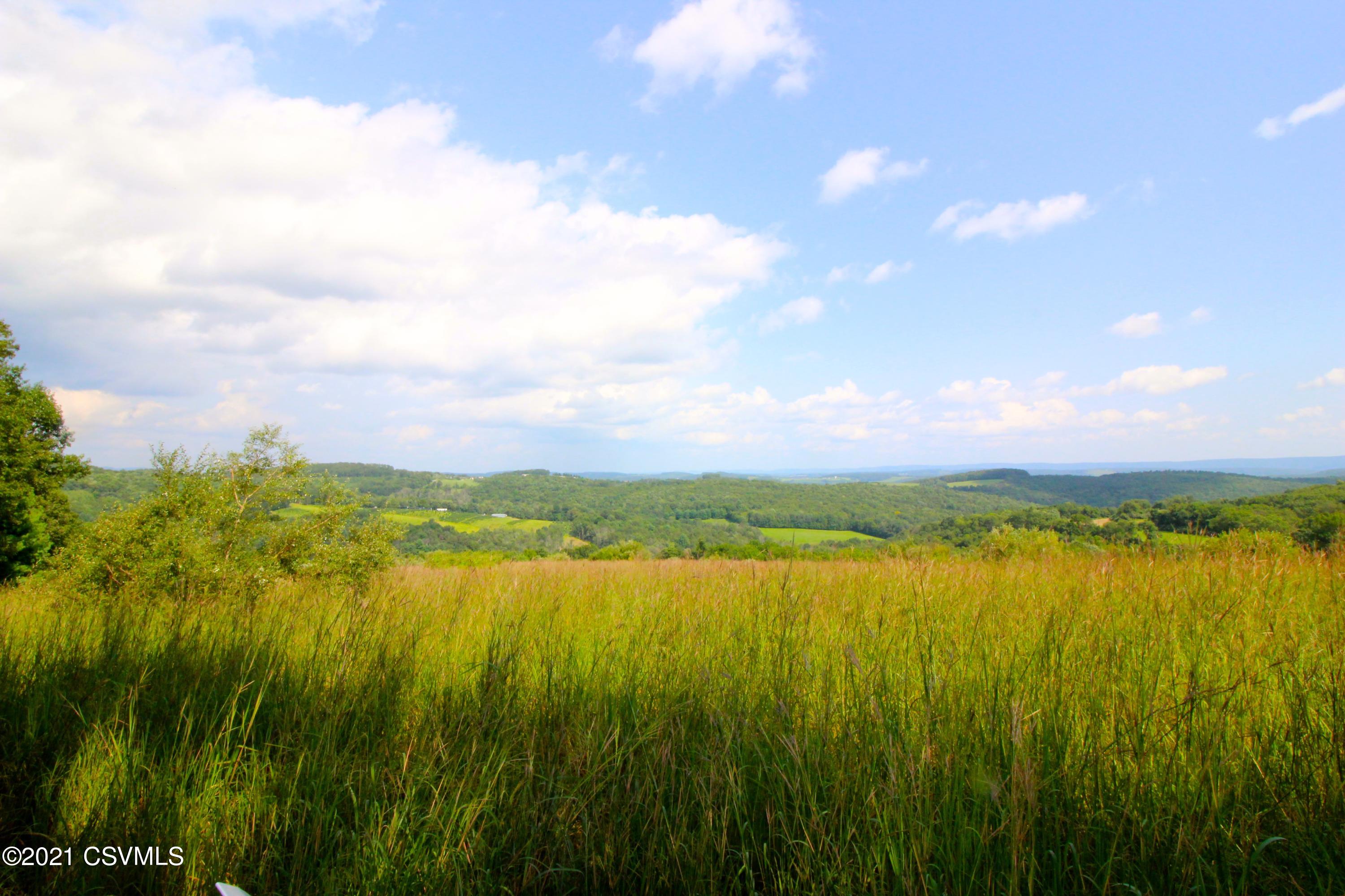 Piper Road Benton, PA 17814 - Photo 5 of 11