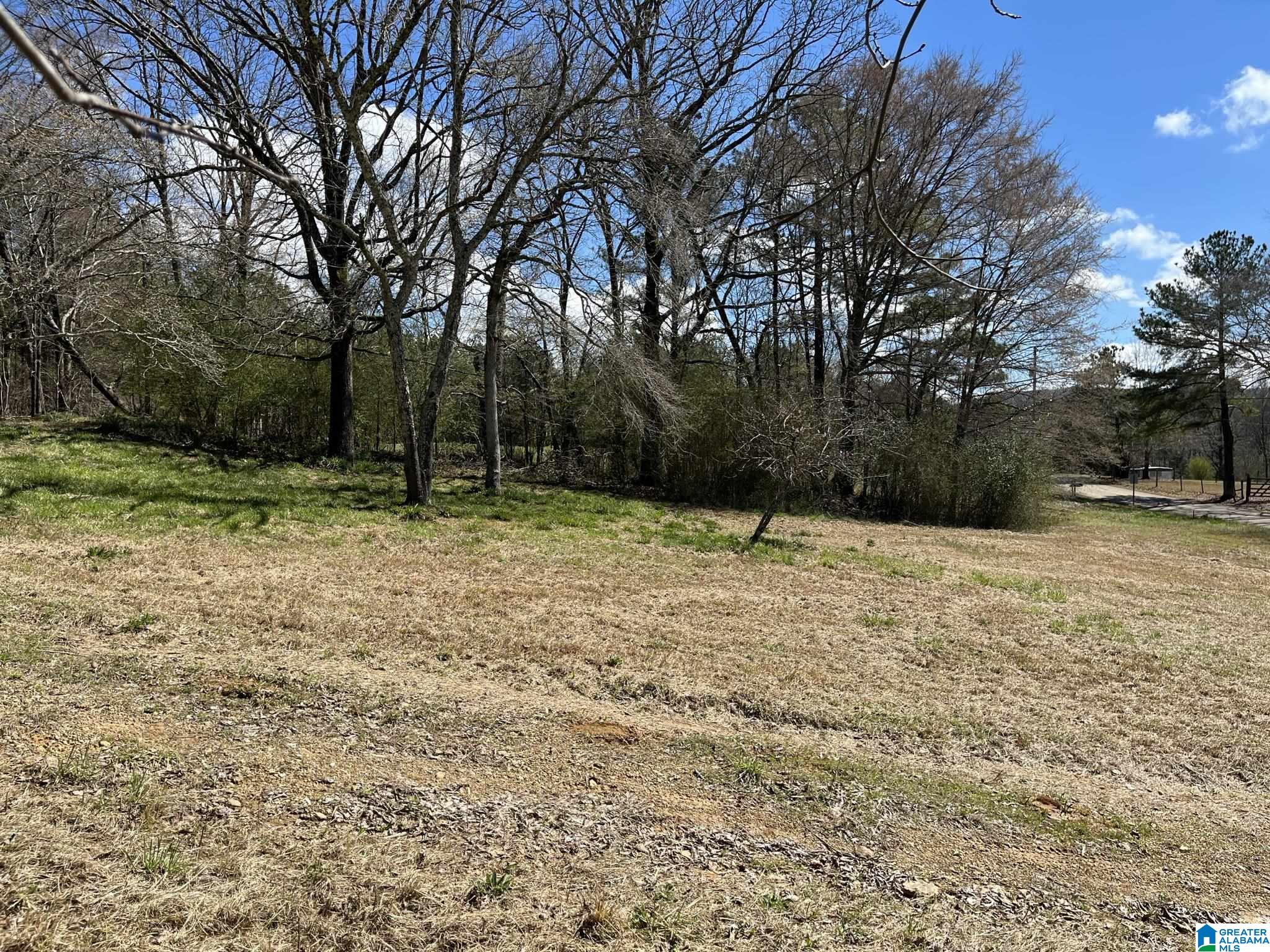 150 Wilson Mine Road, Unit 910 Piedmont, AL 36272 - Photo 5 of 36