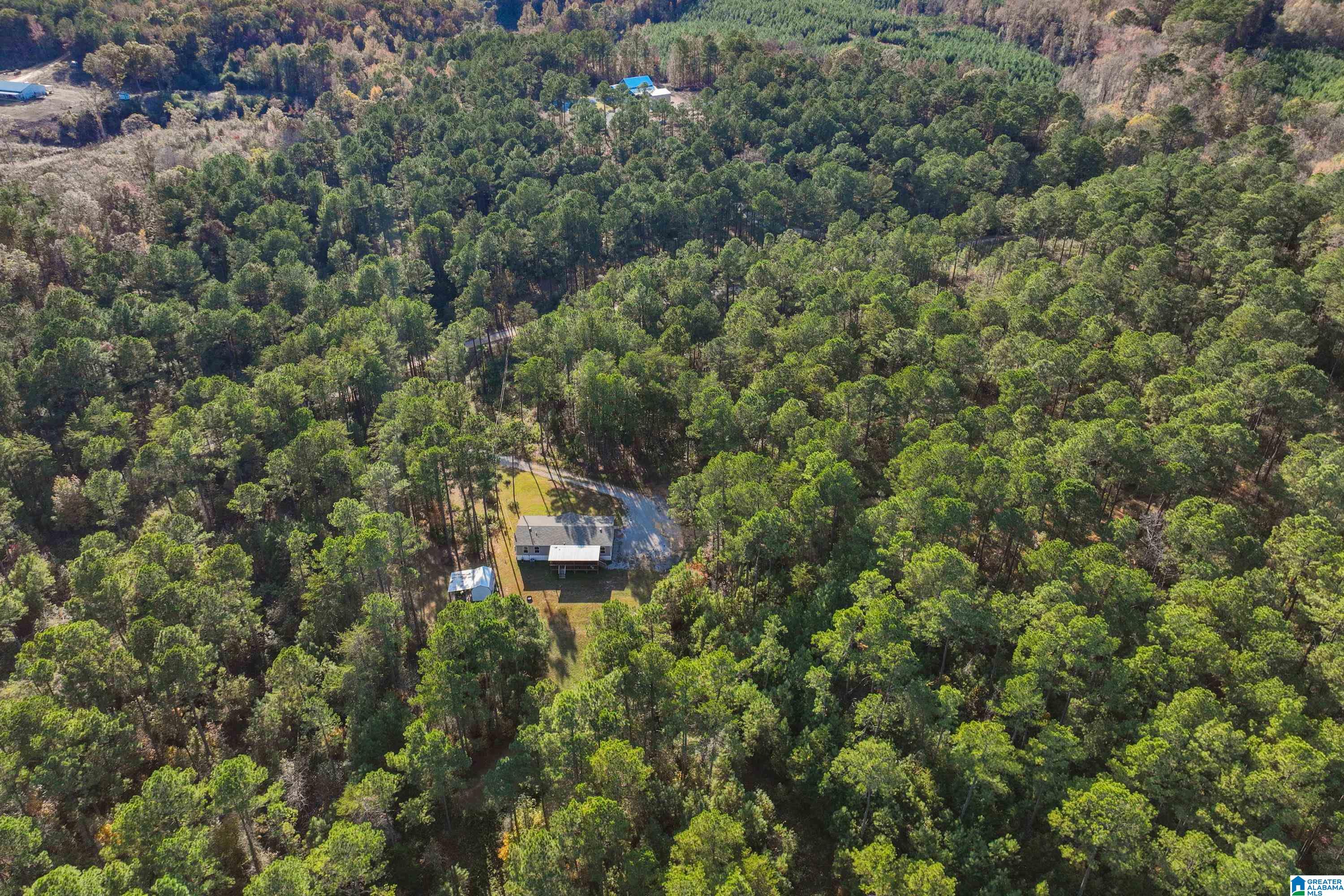 203 Gould Road Columbiana, AL 35051 - Photo 47 of 56