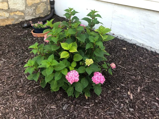 $306,000 | 309 South Bridge Street, Aroma Park, IL 60910