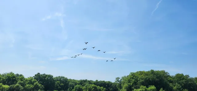 $306,000 | 309 South Bridge Street, Aroma Park, IL 60910