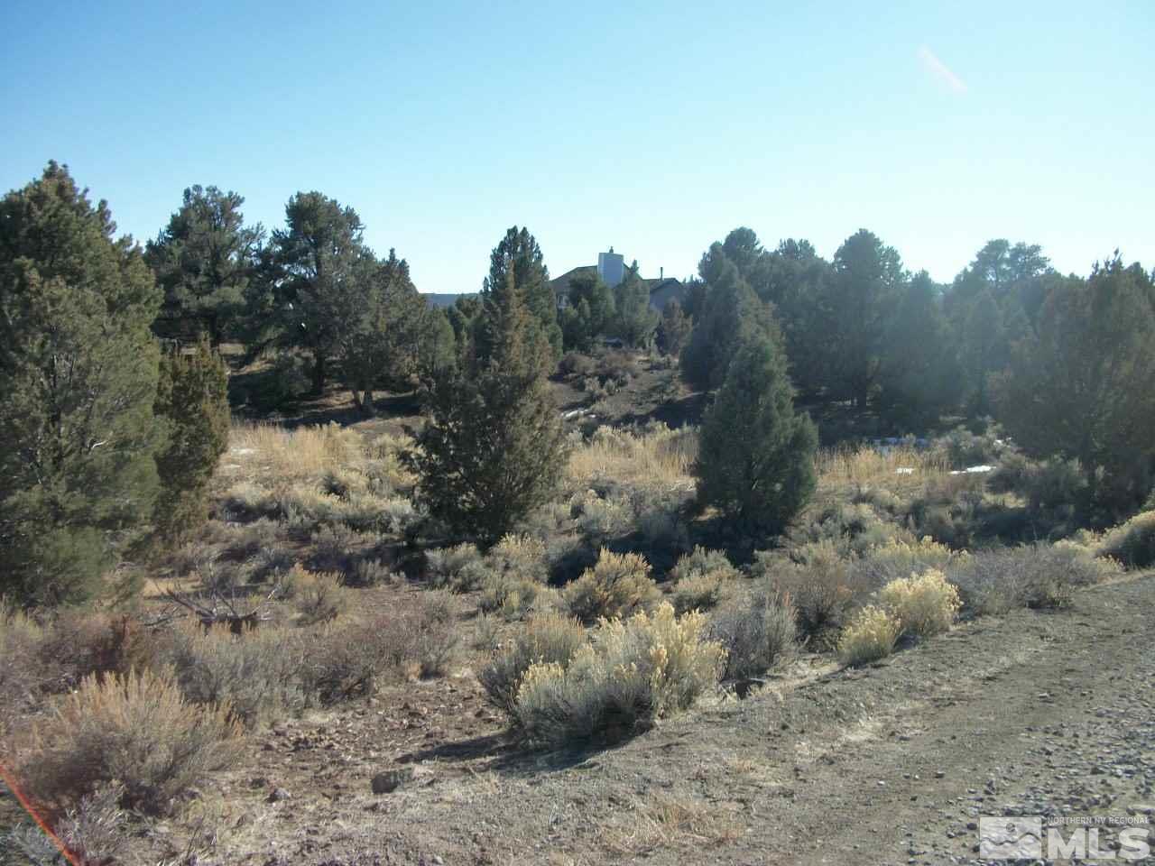 2421 Enterprise Road, Unit 58 Reno, NV 89521 - Photo 1 of 12 a view of a forest with a tree in the background