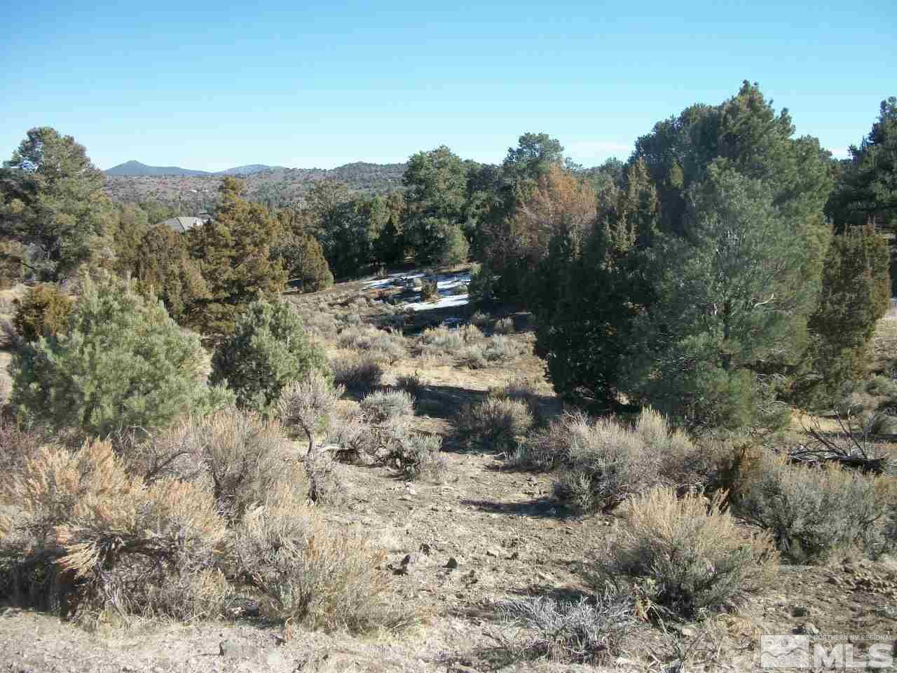 2421 Enterprise Road, Unit 58 Reno, NV 89521 - Photo 4 of 12 a view of a forest with trees in the background
