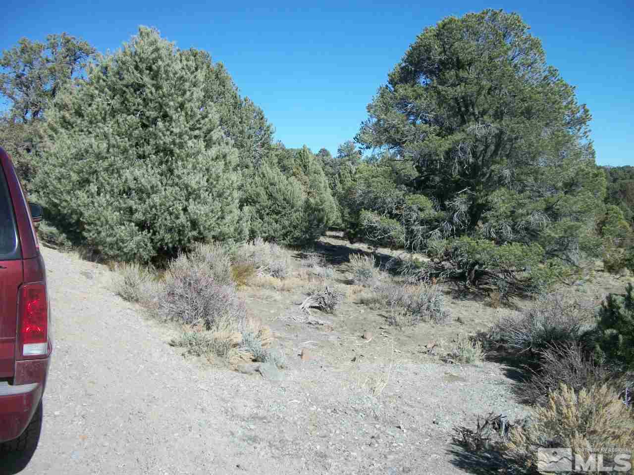 2421 Enterprise Road, Unit 58 Reno, NV 89521 - Photo 5 of 12 a view of a forest with trees in the background