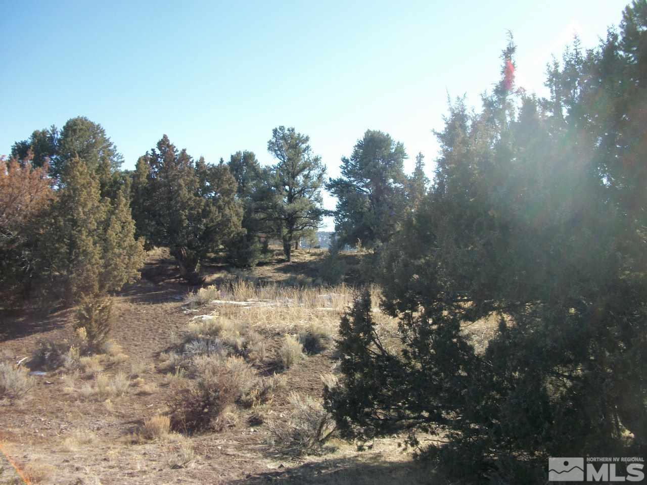 2421 Enterprise Road, Unit 58 Reno, NV 89521 - Photo 6 of 12 a view of a lot of trees in a forest