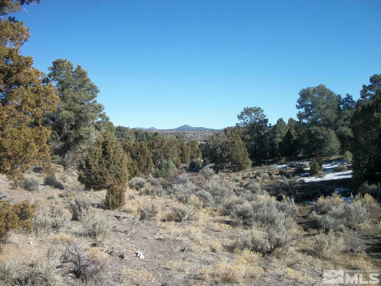 2421 Enterprise Road, Unit 58 Reno, NV 89521 - Photo 7 of 12 a view of a forest with trees in the background