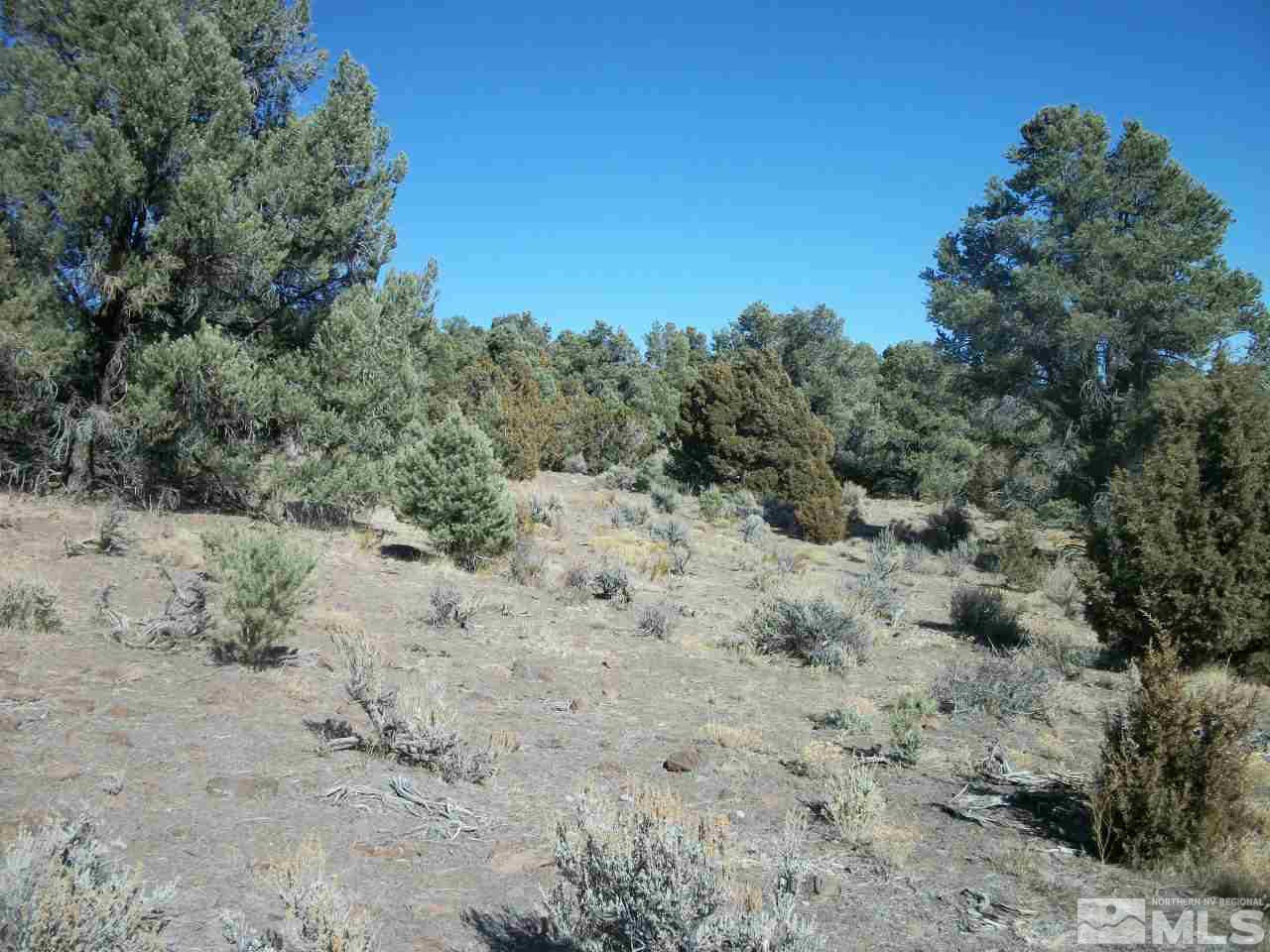 2421 Enterprise Road, Unit 58 Reno, NV 89521 - Photo 8 of 12 a view of a covered with trees in the background