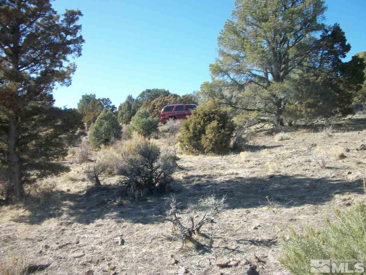 2421 Enterprise Road, Unit 58 Reno, NV 89521 - Photo 9 of 12 a view of a yard with a tree