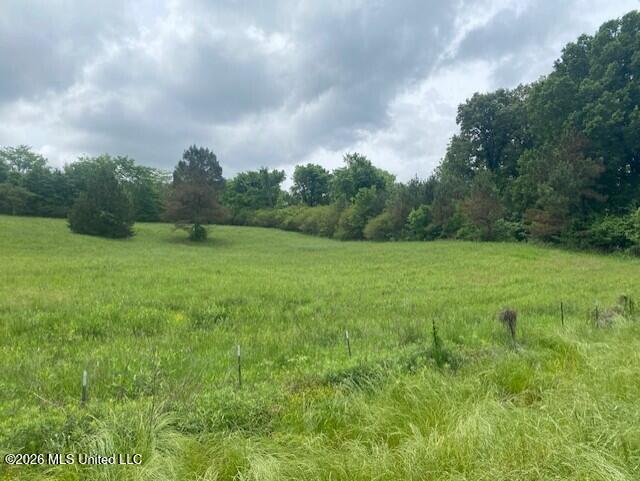 Peyton Road Coldwater, MS 38618 - Photo 2 of 4 15459b71-8ace-492e-8517-1a2f2a8a3b3e