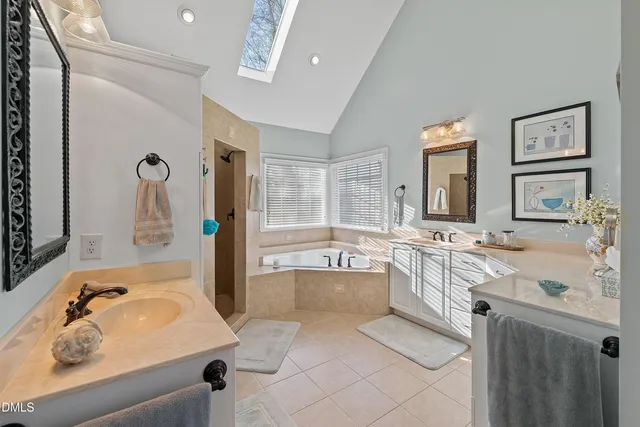 a view of a park with large trees