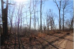0 Lineport Road Bumpus Mills, TN 37028 - Photo 1 of 7 Gallery Image 1