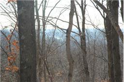 0 Lineport Road Bumpus Mills, TN 37028 - Photo 2 of 7 Gallery Image 2