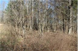0 Lineport Road Bumpus Mills, TN 37028 - Photo 4 of 7 Gallery Image 4
