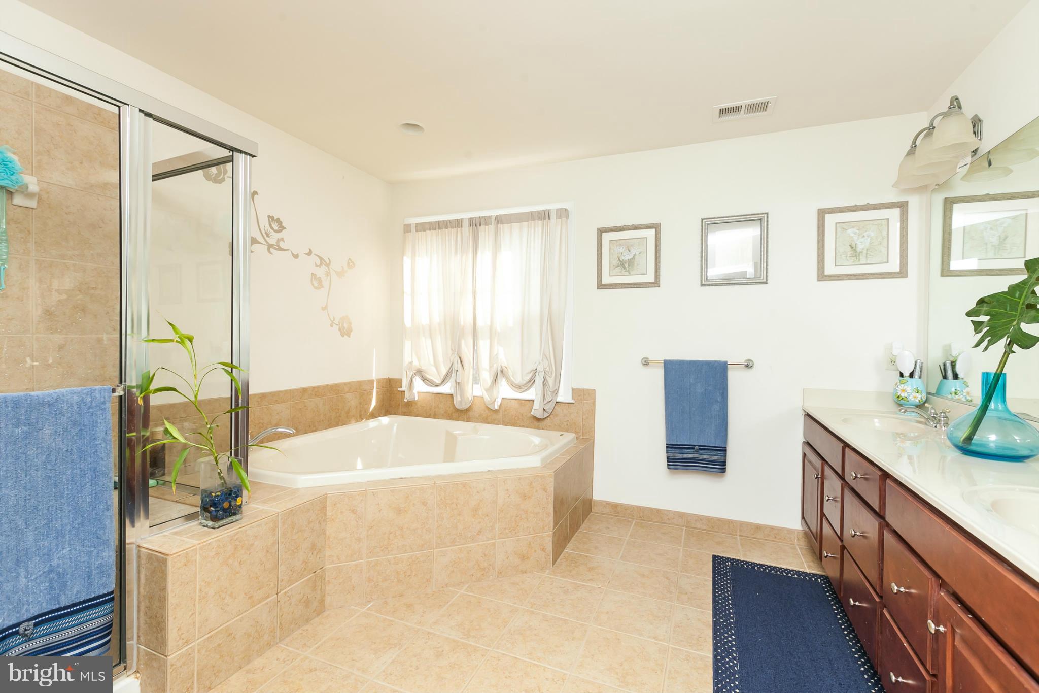 8339 Academy Road Ellicott City, MD 21043 - Photo 21 of 29 SUPER BATH,DESIGNER UPGRADE TILES