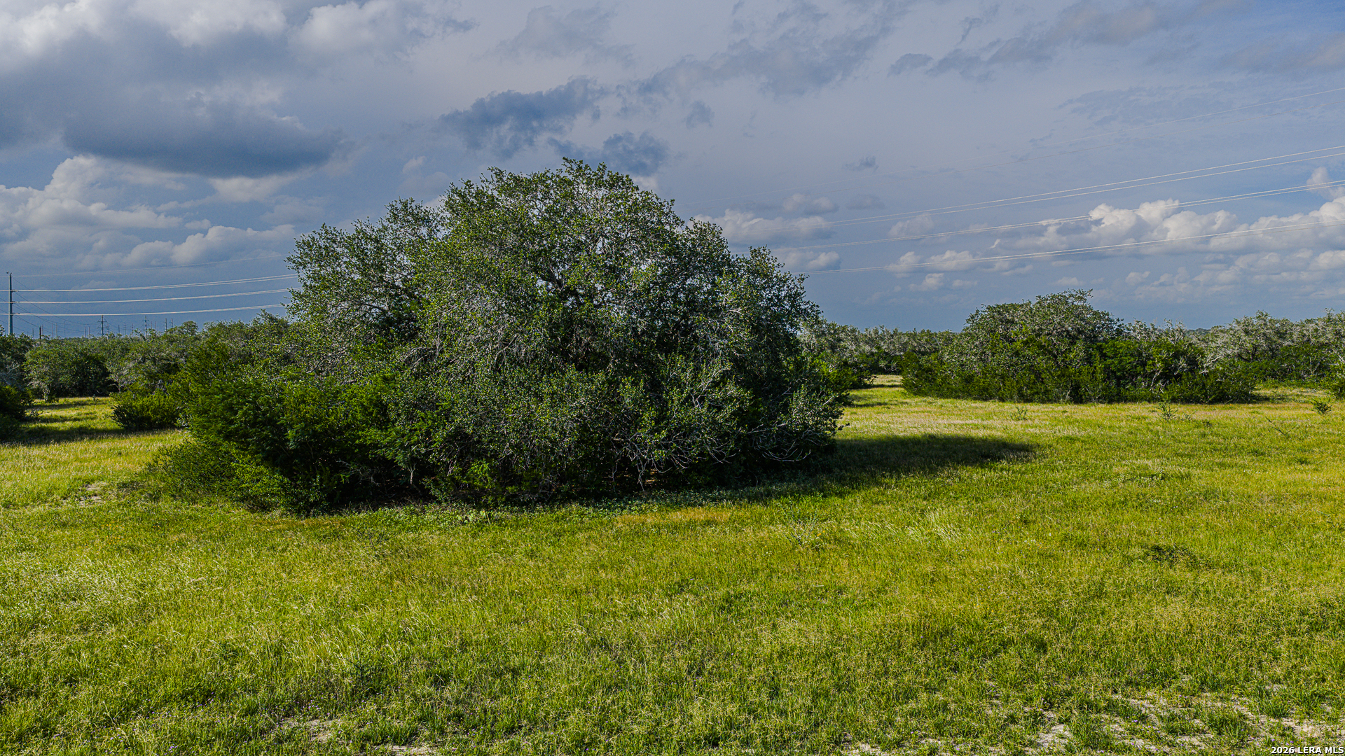 1173 Charco Road Beeville, TX 78102 - Photo 3 of 38