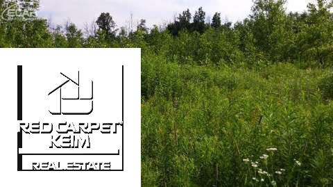 2366 Juhl Road Marlette, MI 48453 - Photo 15 of 16 20445965-14.JPG