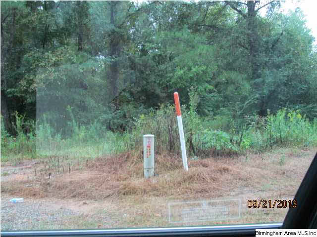 0 Lock 4 Road, Unit 3 PARCEL Lincoln, AL 35096 - Photo 2 of 10