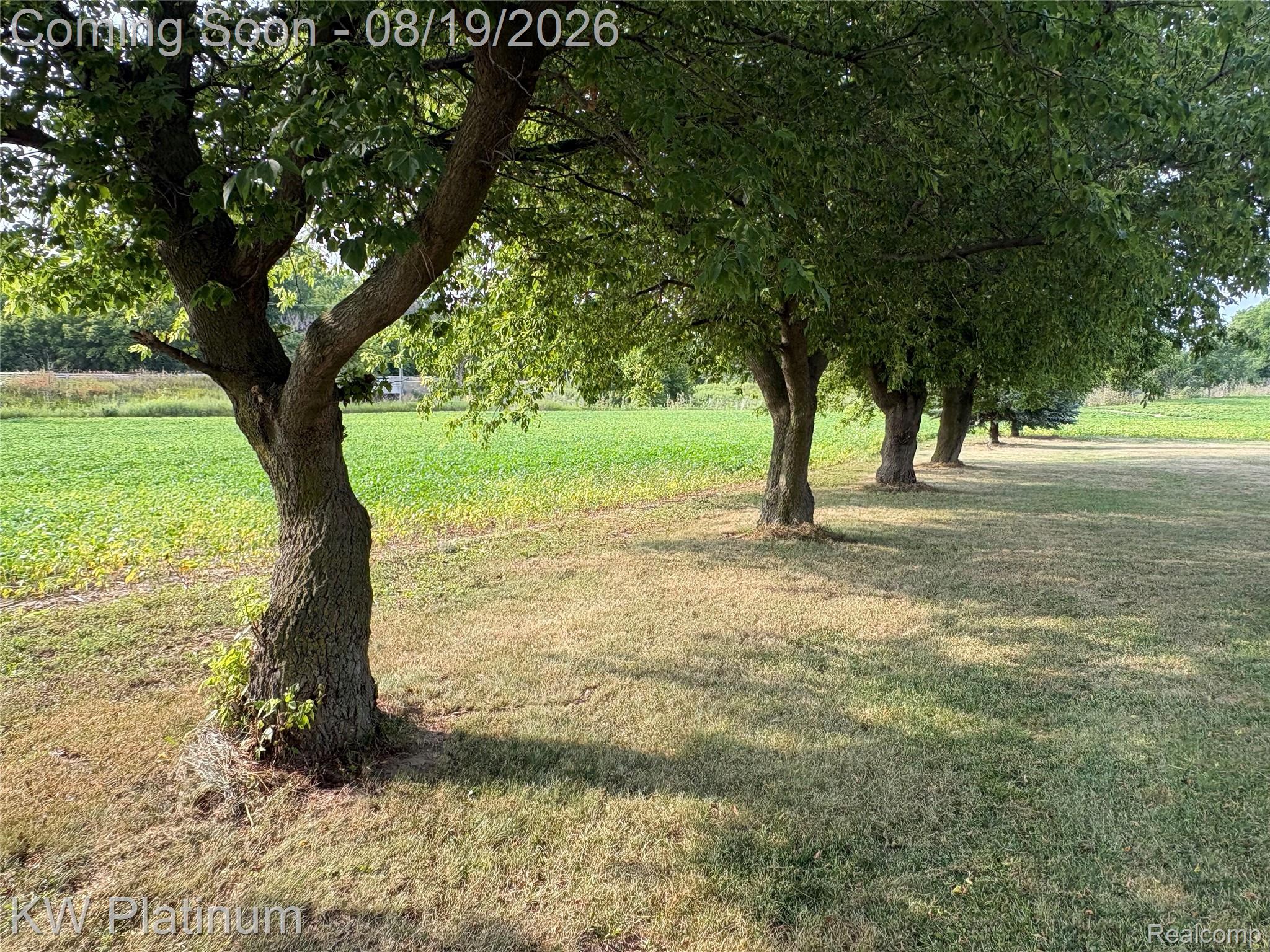 3260 Colclough Road Sandusky, MI 48471 - Photo 24 of 24 Mature trees bordering a green field and expansive lawn