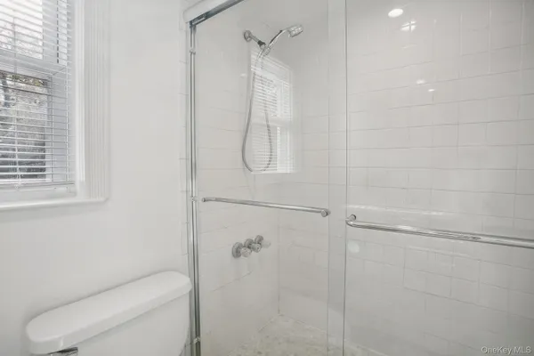 a bathroom with a shower and toilet