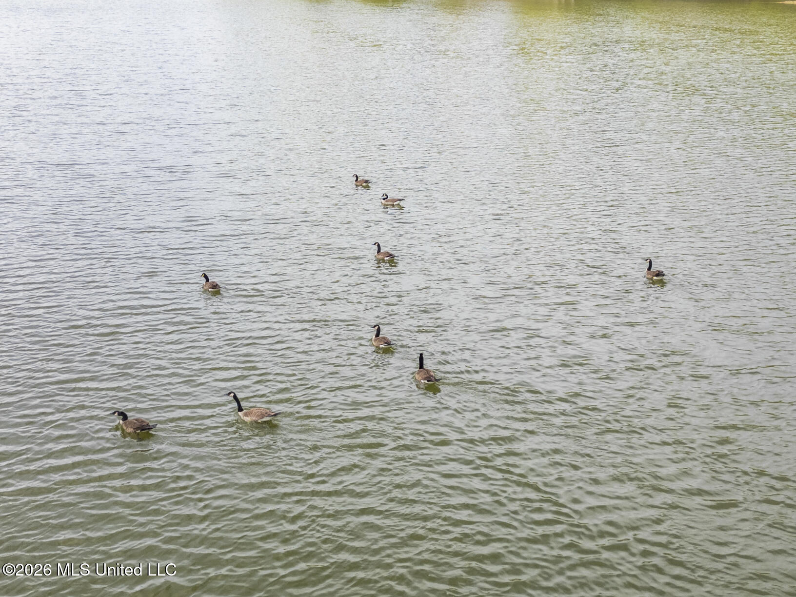 110 Beechtree Road Vicksburg, MS 39183 - Photo 11 of 29 110 Beechtree drone-11