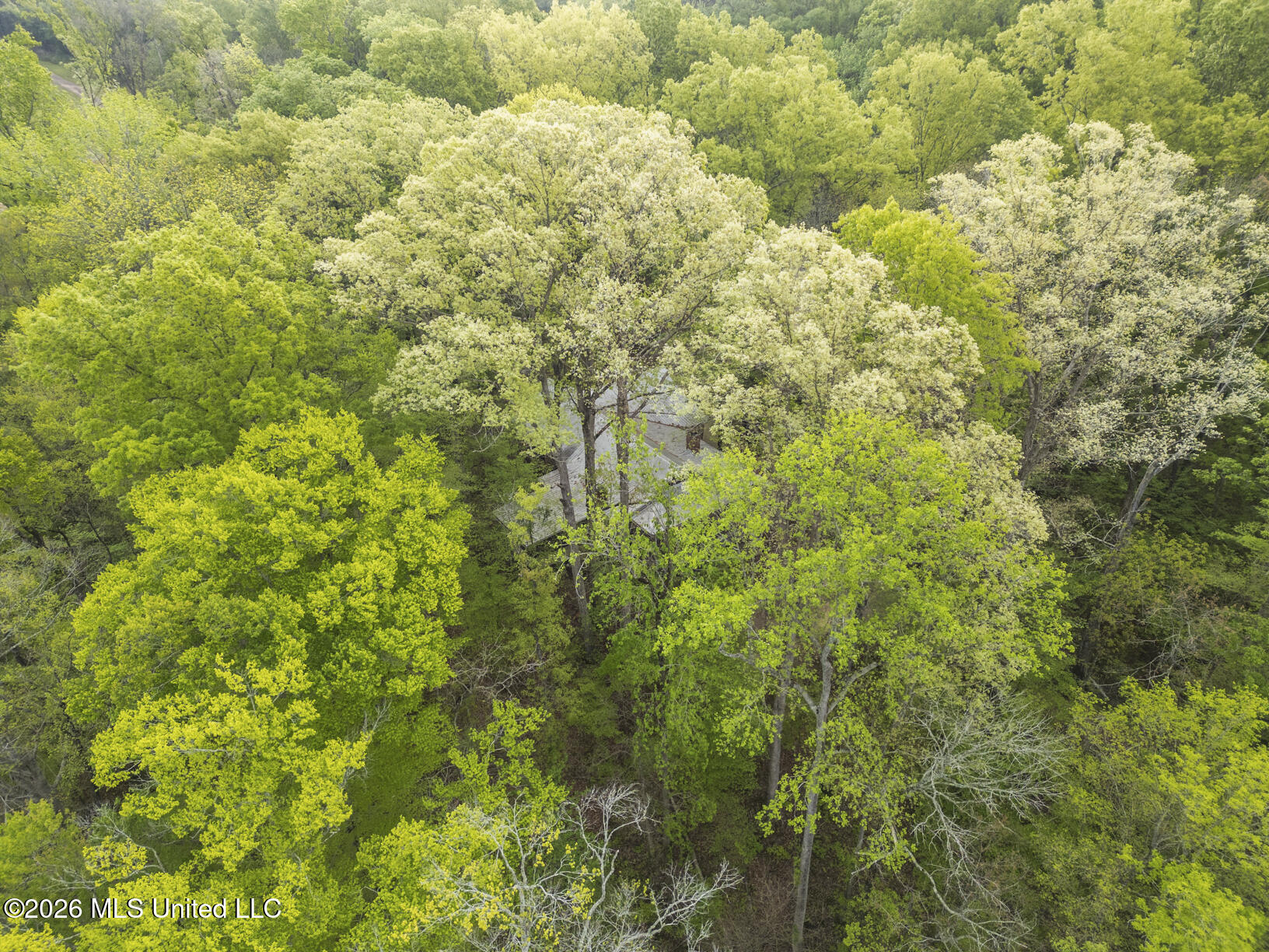 110 Beechtree Road Vicksburg, MS 39183 - Photo 15 of 29 110 Beechtree drone-15