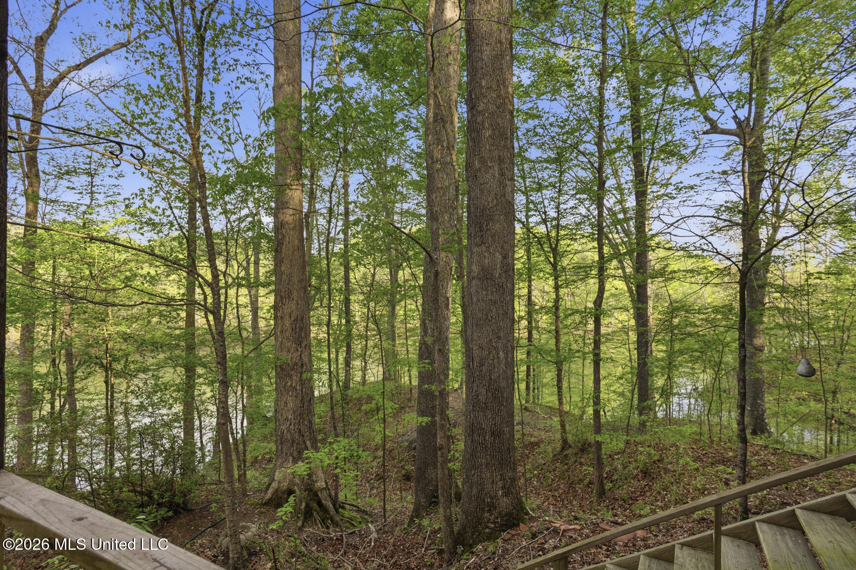 110 Beechtree Road Vicksburg, MS 39183 - Photo 21 of 29 110 Beechtree-4