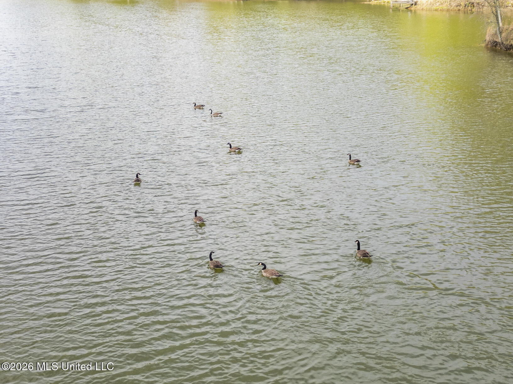 110 Beechtree Road Vicksburg, MS 39183 - Photo 10 of 29 110 Beechtree drone-10