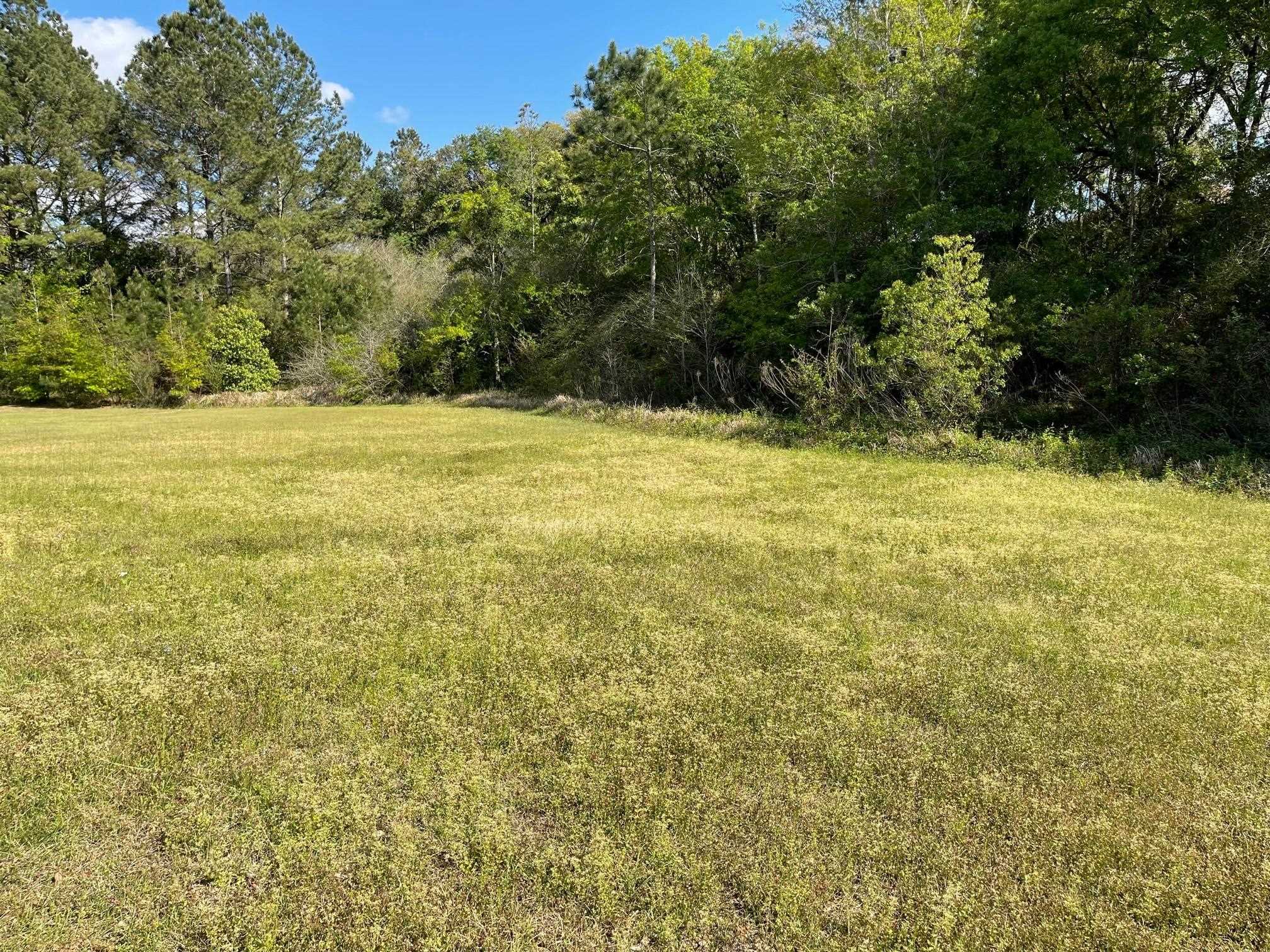 13060 Labradors Run Foley, AL 36535 - Photo 31 of 31